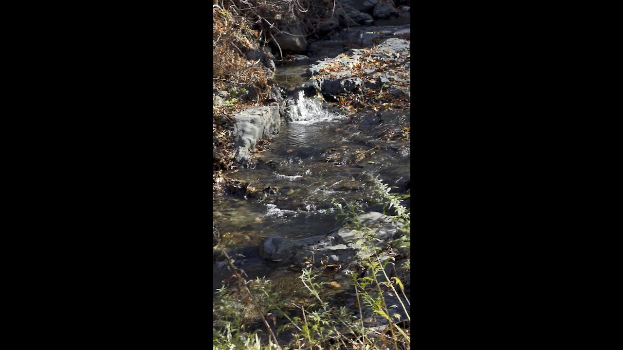 Mitchell Canyon Creek