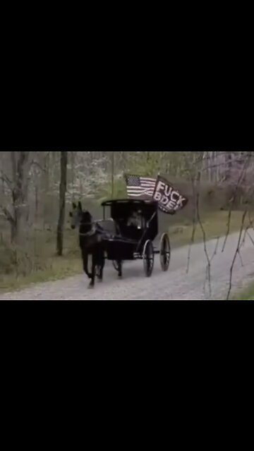 You Know It’s Bad When The Amish Get Political