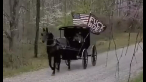 You Know It’s Bad When The Amish Get Political