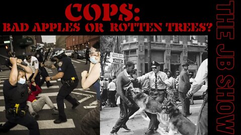 COPS: Bad Apples or Rotten Trees?