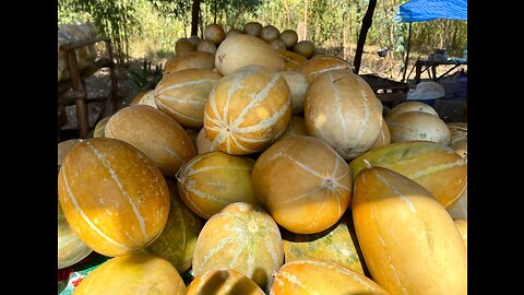 Roadside Fruit!