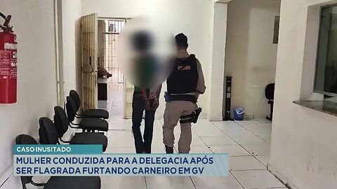 Caso Inusitado: Mulher Conduzida para a Delegacia após ser Flagrada Furtando Carneiro em GV.