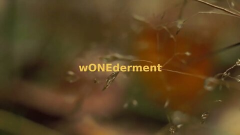 Morning Musings #32 - My 10 minutes of "wONEderment". 😊 One of my deepest revelations to date. ❤️