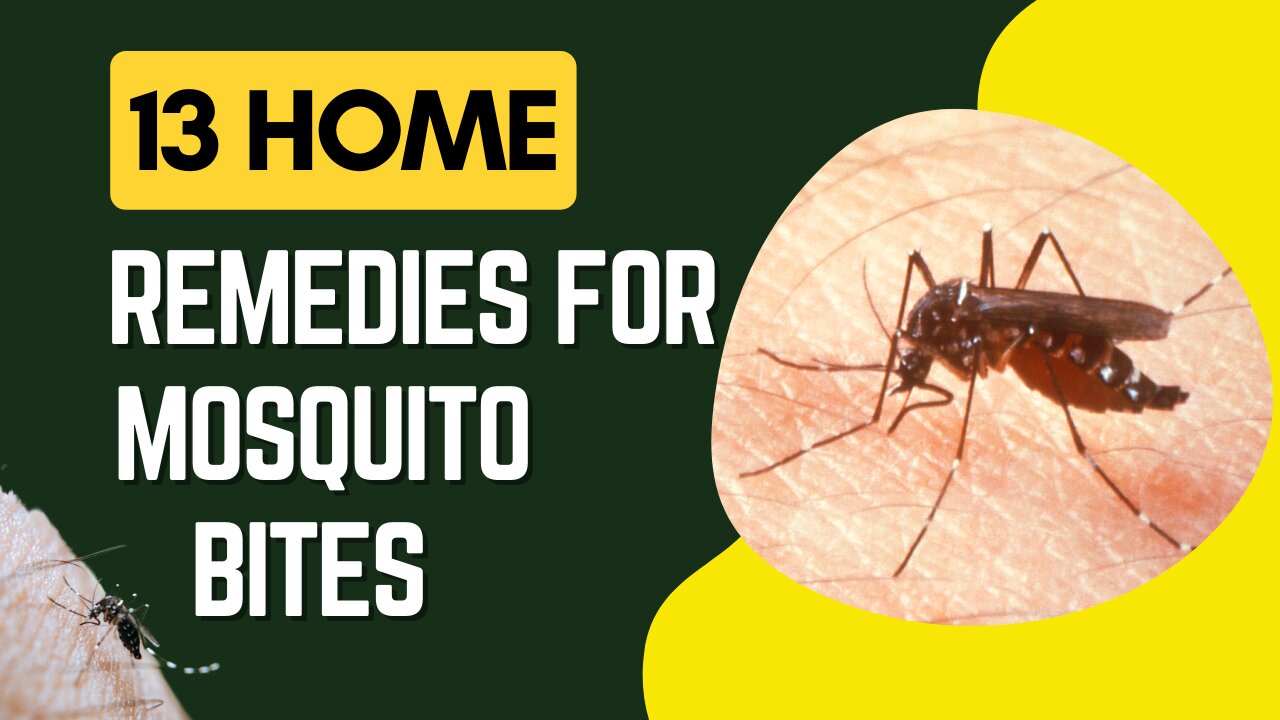 13 Home Remedies For Mosquito Bites: Number 7 is Unreal