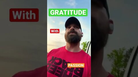 Gratitude with Gunner | PASSION | #shorts #gratitude #passion