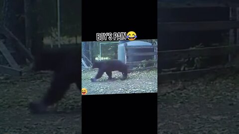 Funny 🤣 videos for entertainment and viral shorts for funny moments(1)