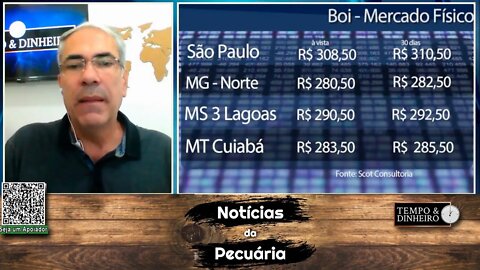 Boi gordo tem vantagem na relação de troca com bezerro