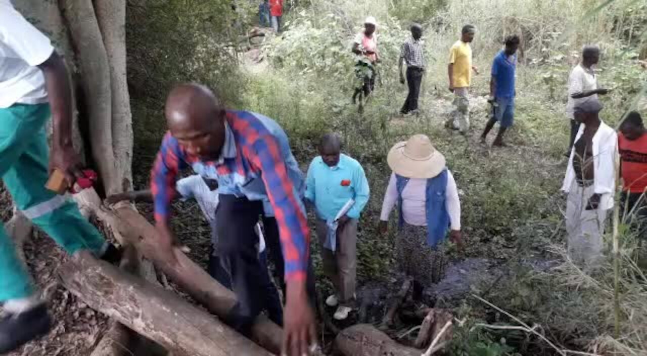 SOUTH AFRICA - KwaZulu-Natal - Crocodile terrorises villagers (Videos) (iu9)