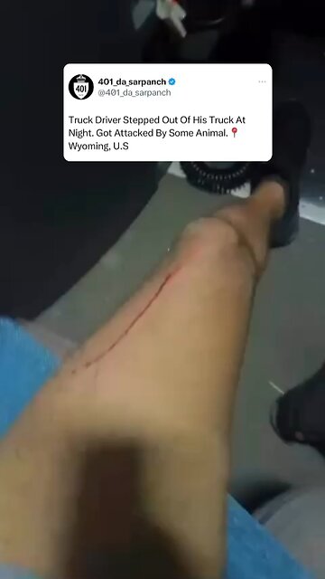 Animal attacked trucker in Wyoming
