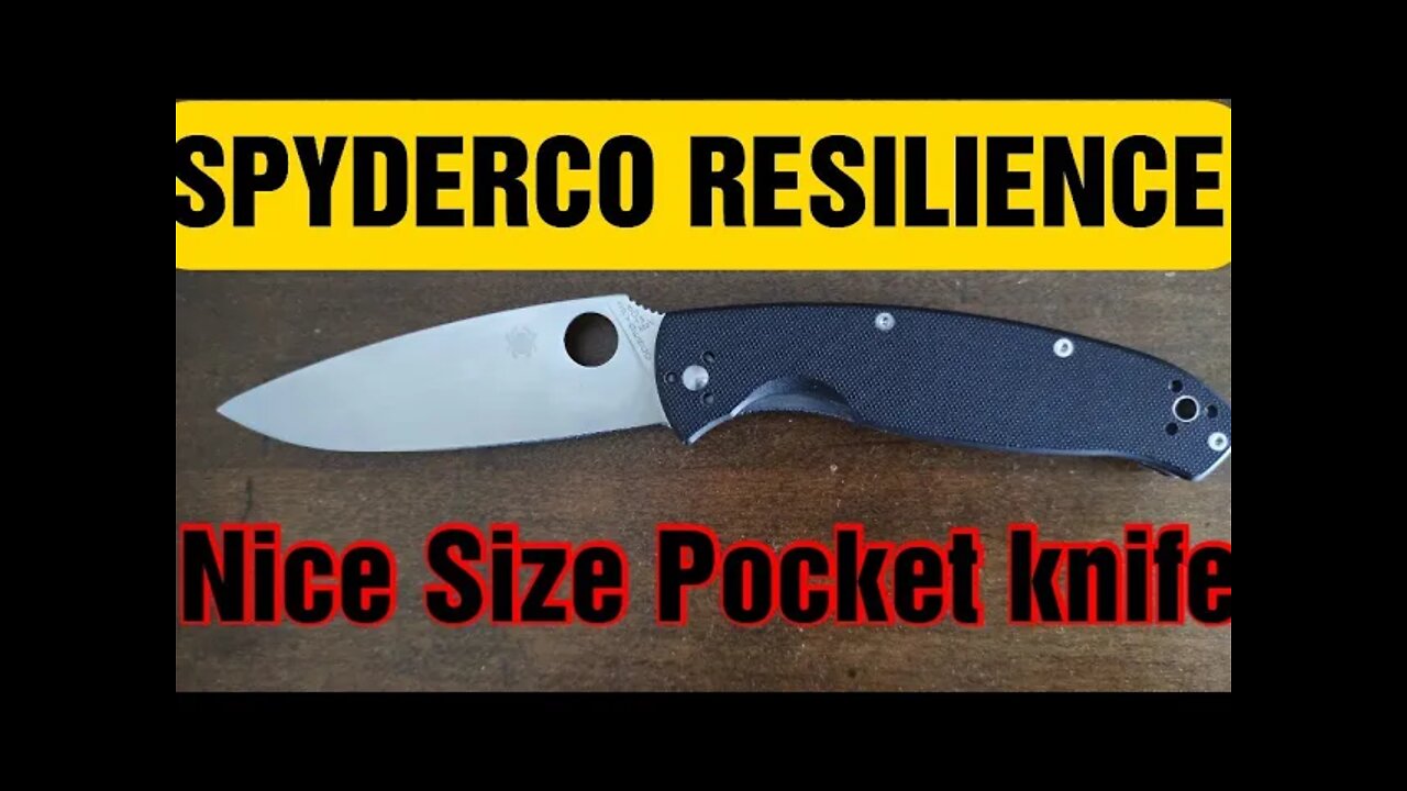 Sypderco Resilience large folding pocketknife, quality, affordable, Razor Sharp, stainless steel,18