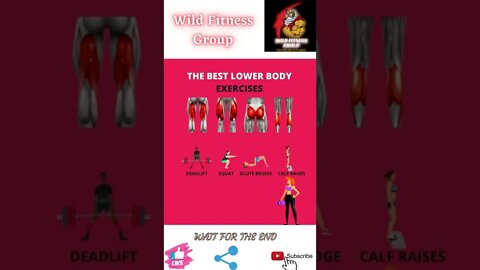 🔥The best lower body exercises🔥#shorts🔥#wildfitnessgroup🔥4 April 2022🔥