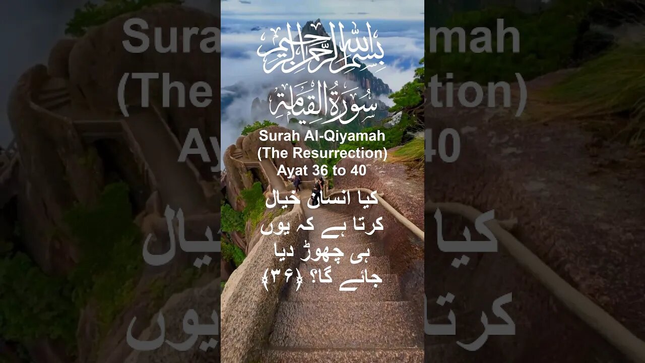 Surah Al Qiyamah in Urdu Translation Ayat36to40 #youtube#youtubeshorts#ytshorts#viral#shorts#short