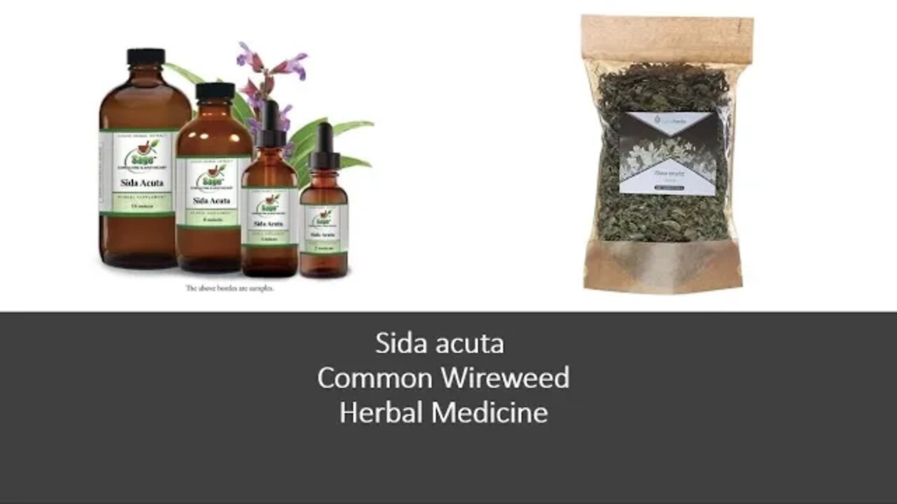 Side acuta Common wireweed Herbal Medicine Benefits