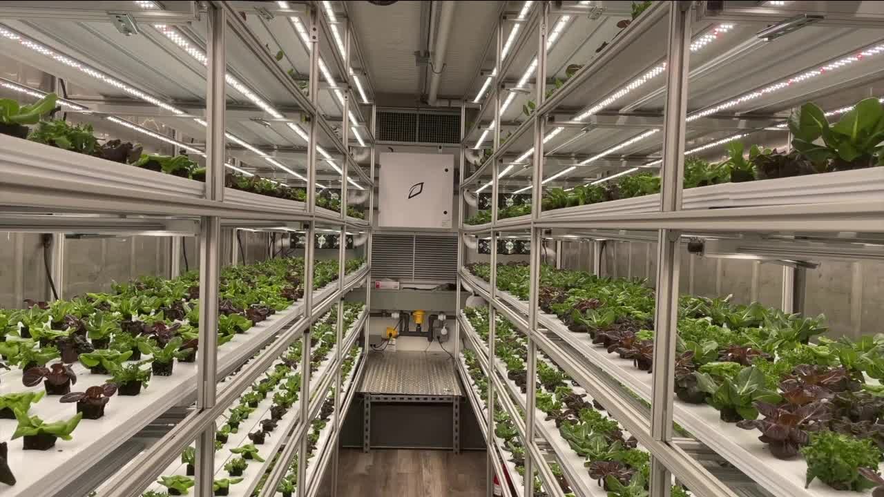 Vertical farming expands in St. Pete