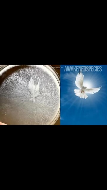 How Water Holds Memory