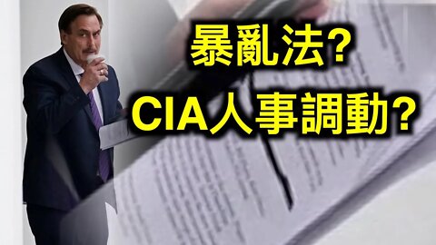 川普鐵桿支持者文件被拍照!暴動法!CIA人事安排!左媒如坐針氈……