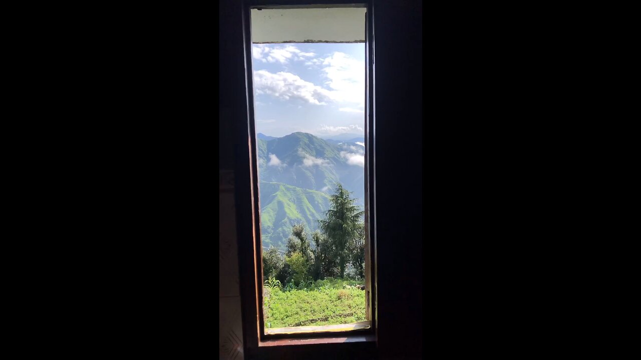 Window view