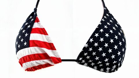 AMERICAN TITS