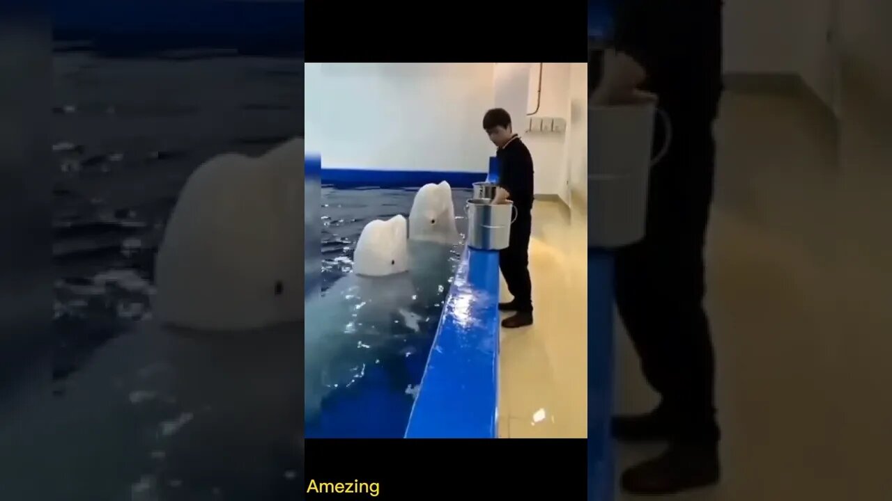 amazing