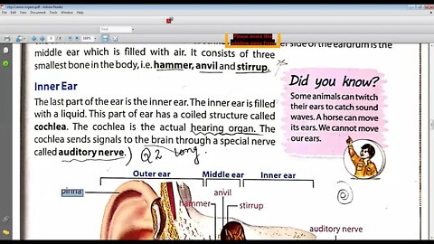 Science class 6 14 4 2021