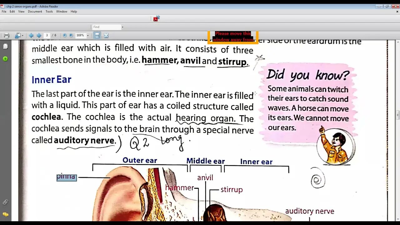 Science class 6 14 4 2021