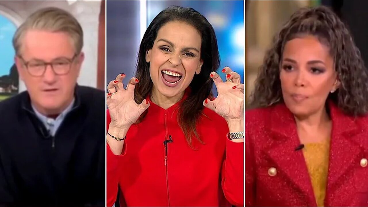 Lefties losing it: Catfight as The View host attacks MSNBC