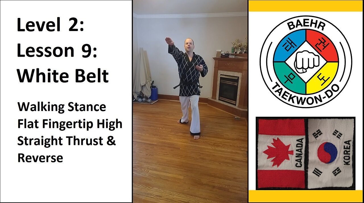 Baehr Taekwondo: 02-09: Yellow Stripe: Walking Stance - Flat Fingertip High Straight Thrust