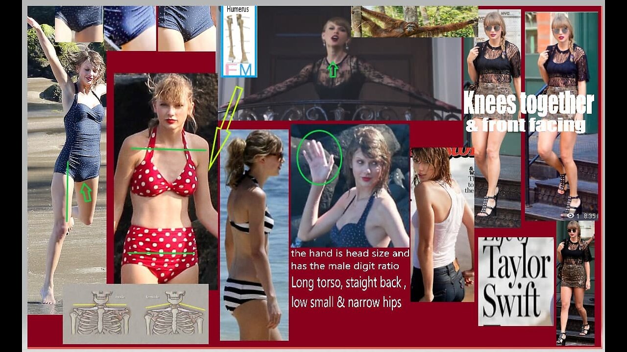 Taylor Is The Man