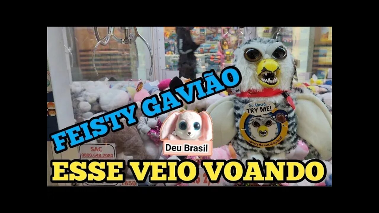 PESCANDO UM FEISTY GAVIÃO 🦅🦅🦅👏👏👏