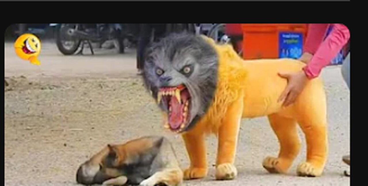 Troll Prank Dog Funny & fake Lion and Fake Tiger Prank To dog