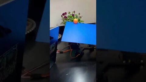 No ball can fall from this smart plate!