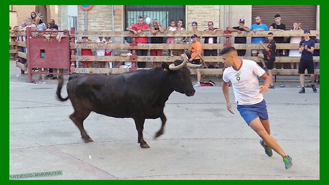 BUÑUEL ( NAVARRA ) TARDE VACAS EN LA CALLE ( MIERCOLES 26 JULIO 2023 ) GANAD.TEODORO VERGARA