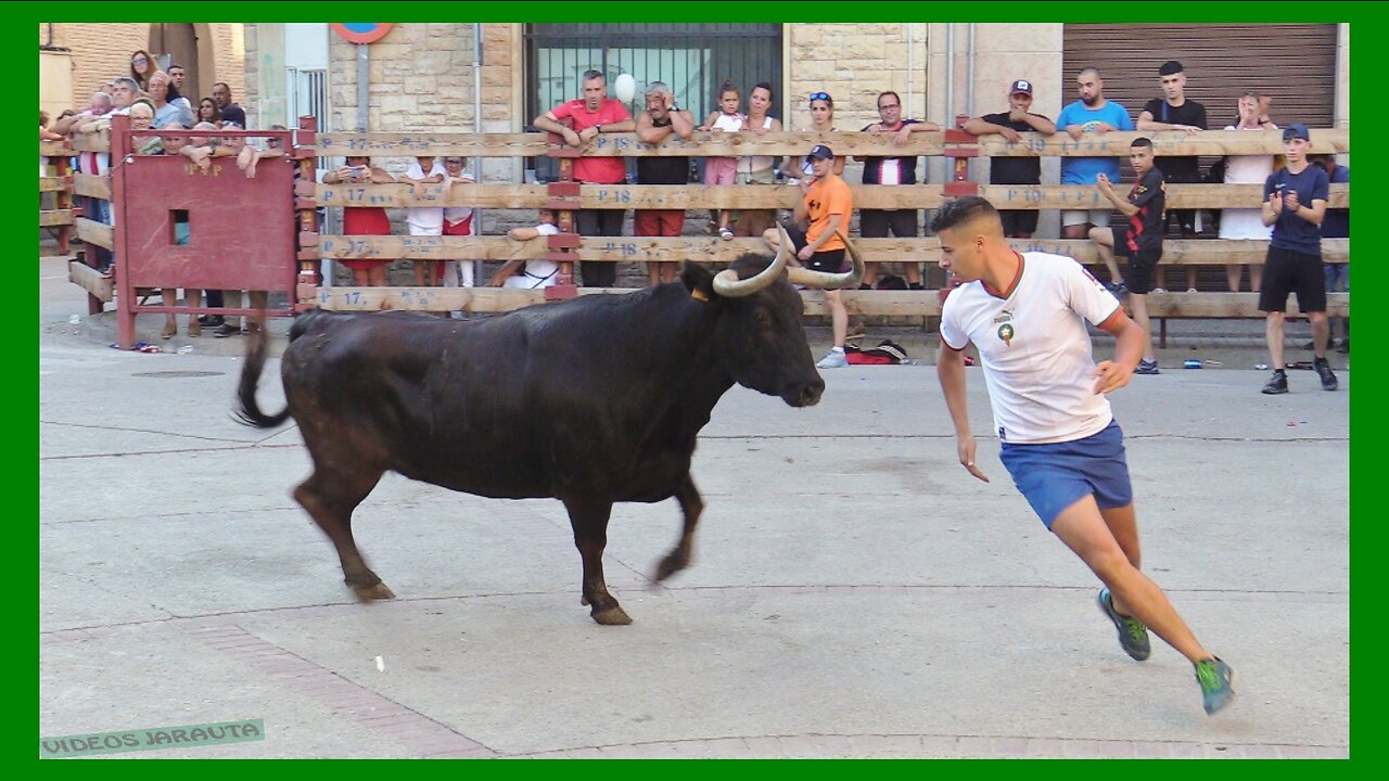 BUÑUEL ( NAVARRA ) TARDE VACAS EN LA CALLE ( MIERCOLES 26 JULIO 2023 ) GANAD.TEODORO VERGARA