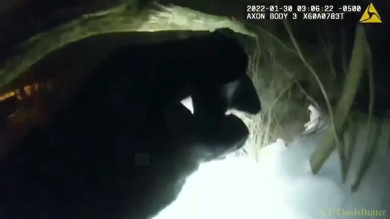 North Ridgeville police K 9 helps track down 2 suspects who allegedly fled after pursuit