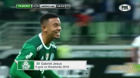 Os Gols do Jogo Palmeiras 2 x 0 América MG Brasileirão 21 06 2016