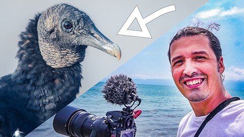 Vlog travel Mexico | the black Vultures (THIS IS WHAT I LEARNED ABOUT THEM)