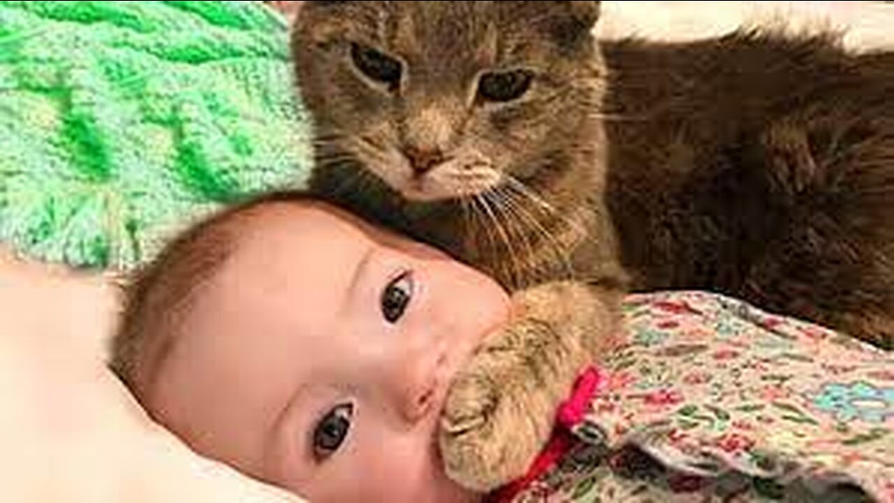 🐾👶 Capturing Precious Moments of Innocence and Friendship! 🐱👶