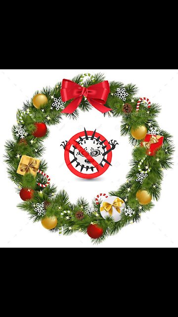 Merry Christmas From TheBigVirusHoax.com - There Are No Viruses