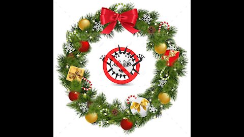 Merry Christmas From TheBigVirusHoax.com - There Are No Viruses