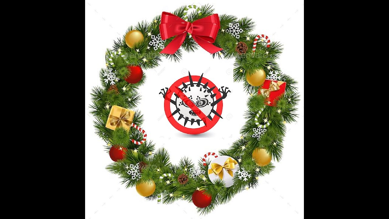 Merry Christmas From TheBigVirusHoax.com - There Are No Viruses