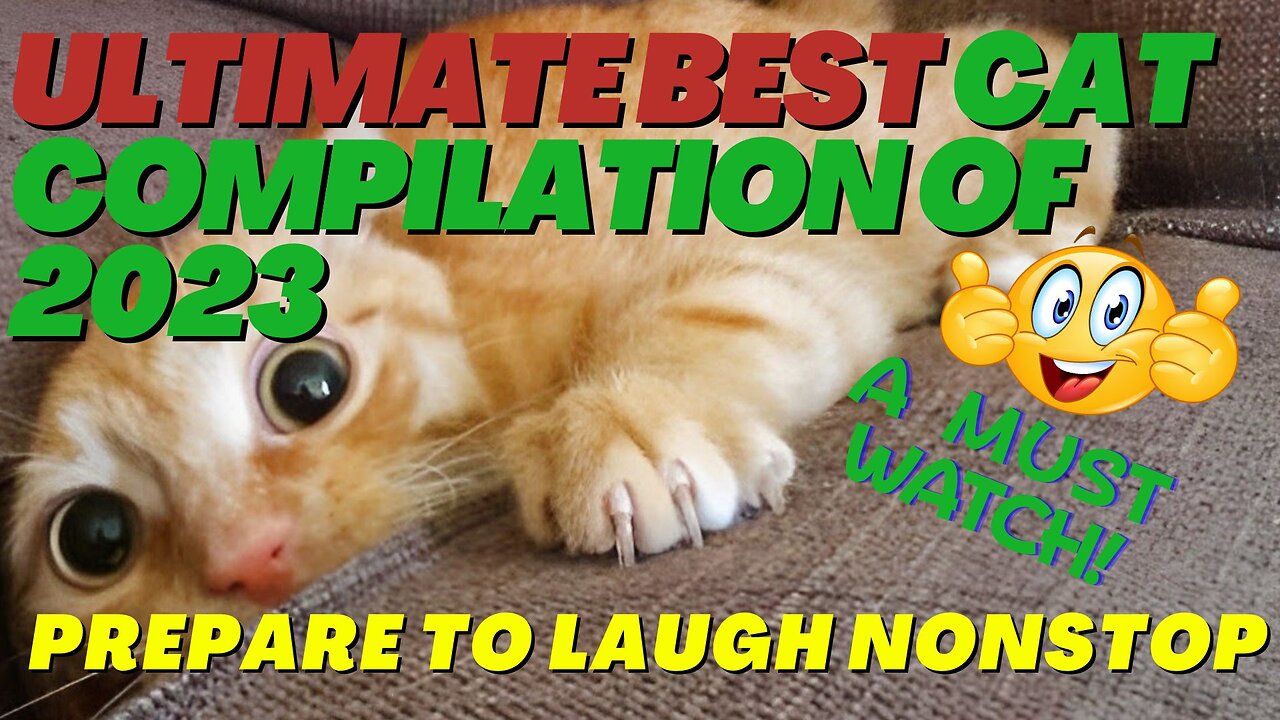 The ULTIMATE BEST Cat Compilation of 2023: Unstoppable Laughter