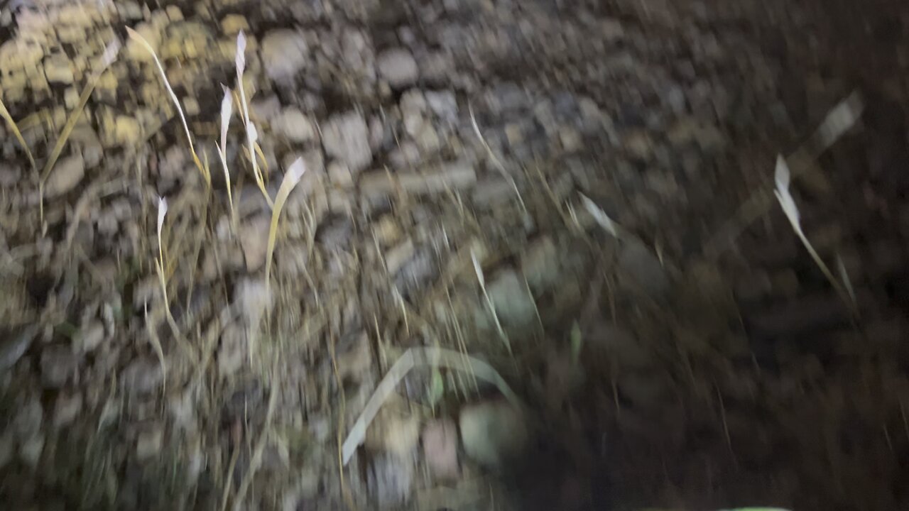 Arizona Flip - underside - part two