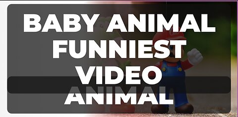 Baby Animal Funniest video 😂😂