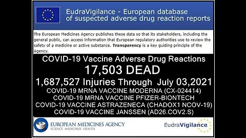 Best case scenario: at least 300 million injured or dead from the vaccines!
