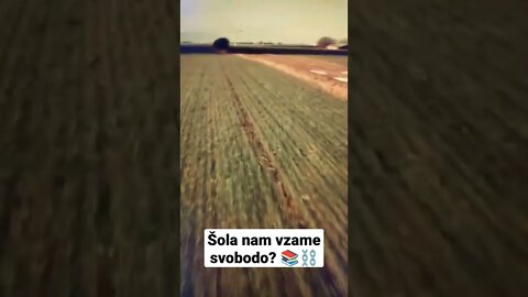 Nevarnost za državo