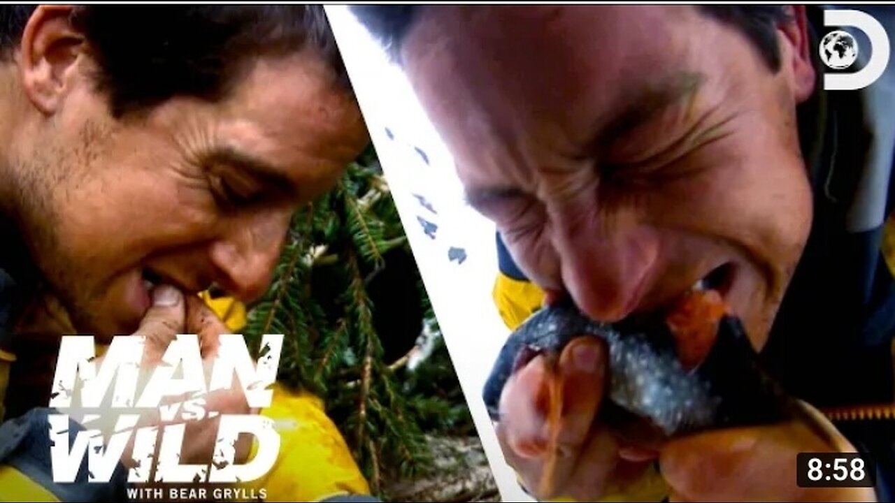 Bear Grylls eats maggots and Live Fish | Man Vs Wild