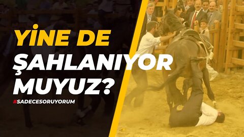 Yine de Şahlanıyor musunuz?