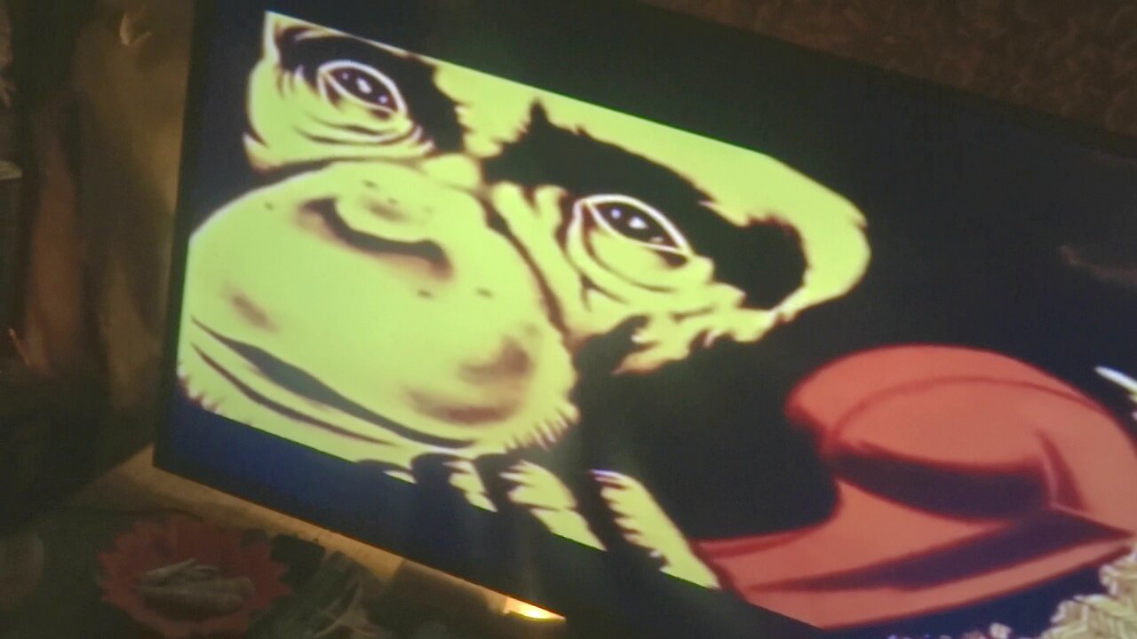 Lance Link ~ Secret Chimp