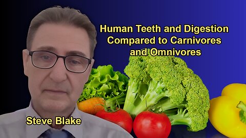 Detailed Analysis of Human Teeth and Digestive Adaptations in Comparison to Carnivores and Omnivores