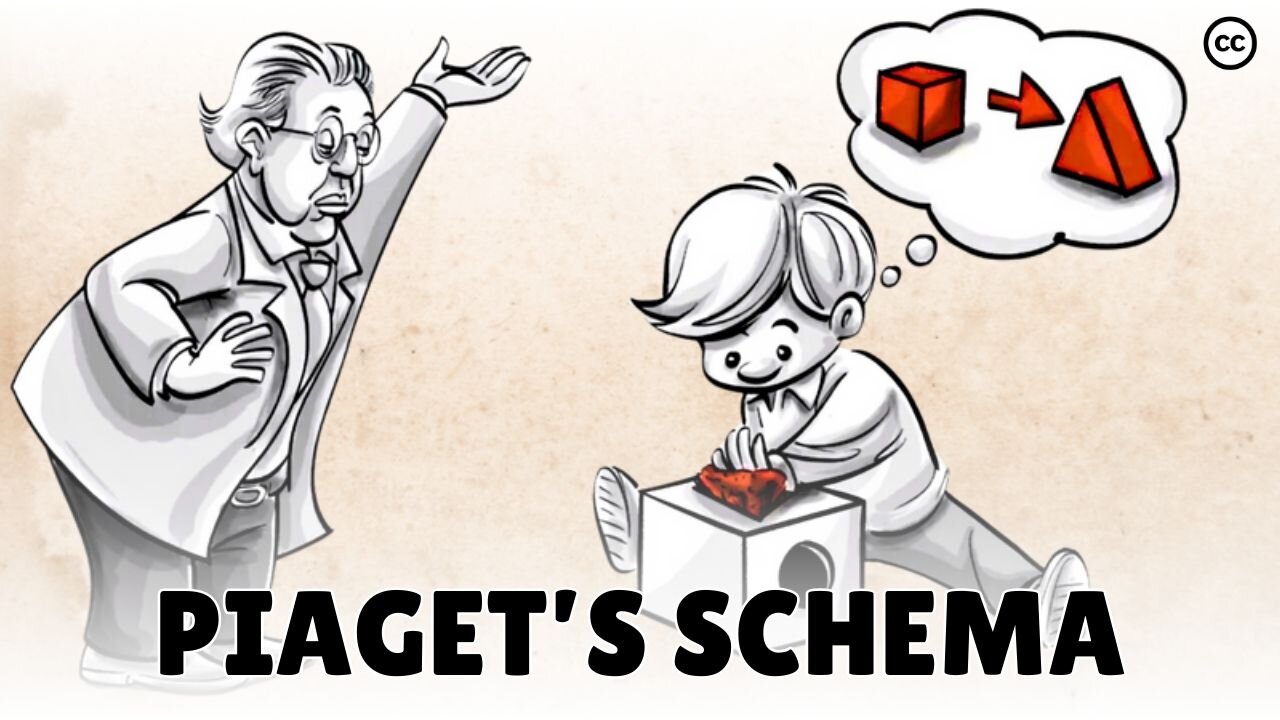 Piaget’s Schema: Accommodation and Assimilation of New Information